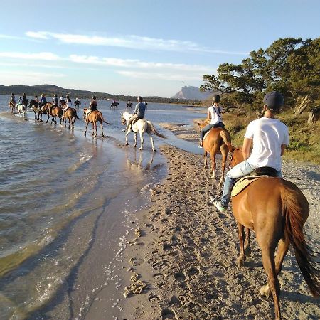 Appartamento Sette Posti Vicino Al Centro Di San Teodoro San Teodoro  Eksteriør billede